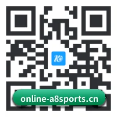 系统版 iOS 二维码